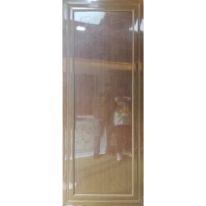 Door PVC M01
