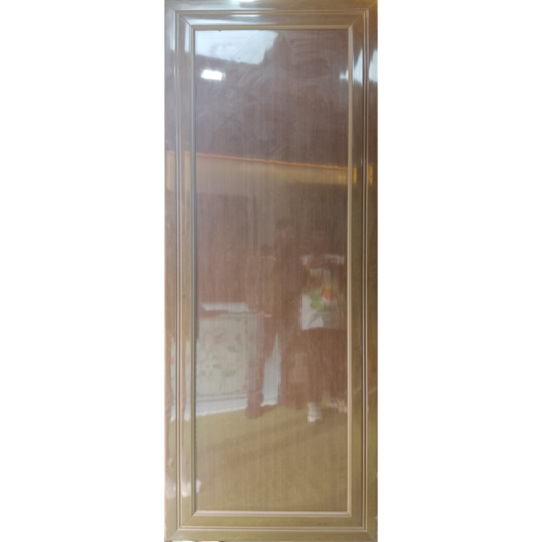Door PVC M01