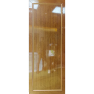 Door PVC M02