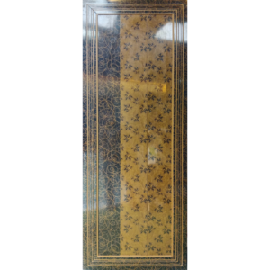 Door PVC M05