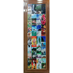 Door PVC M16